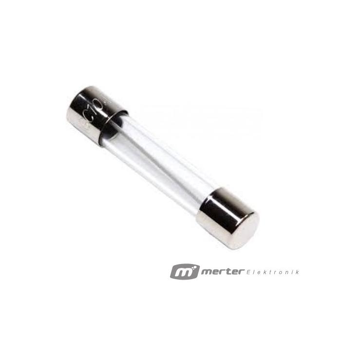 CAM SİGORTA BÜYÜK 20 AMPER (100 ADET) 6X30MM