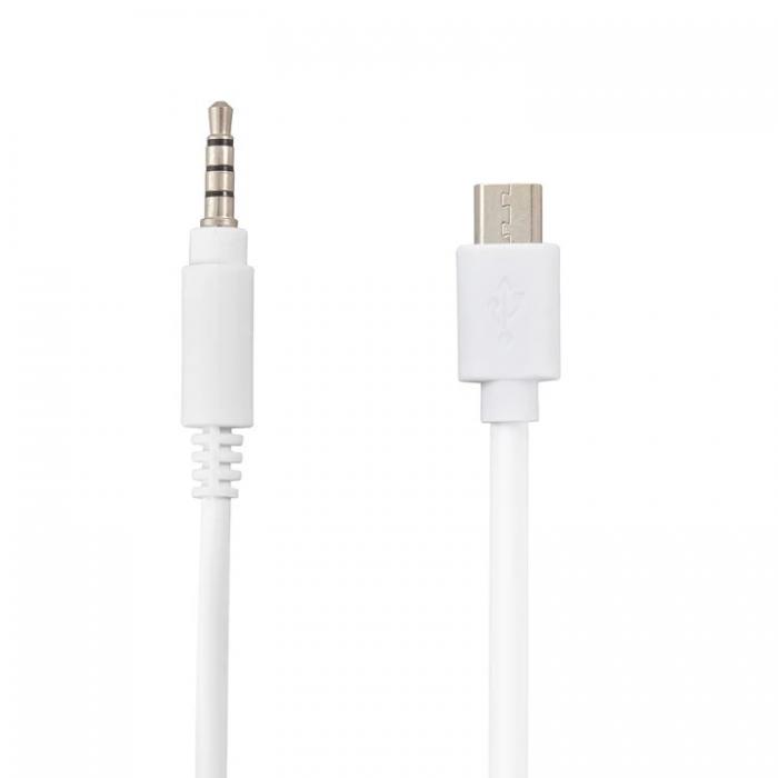 POWERMASTER MICRO USB TO AUX 4 BOĞUM 80 CM KABLO