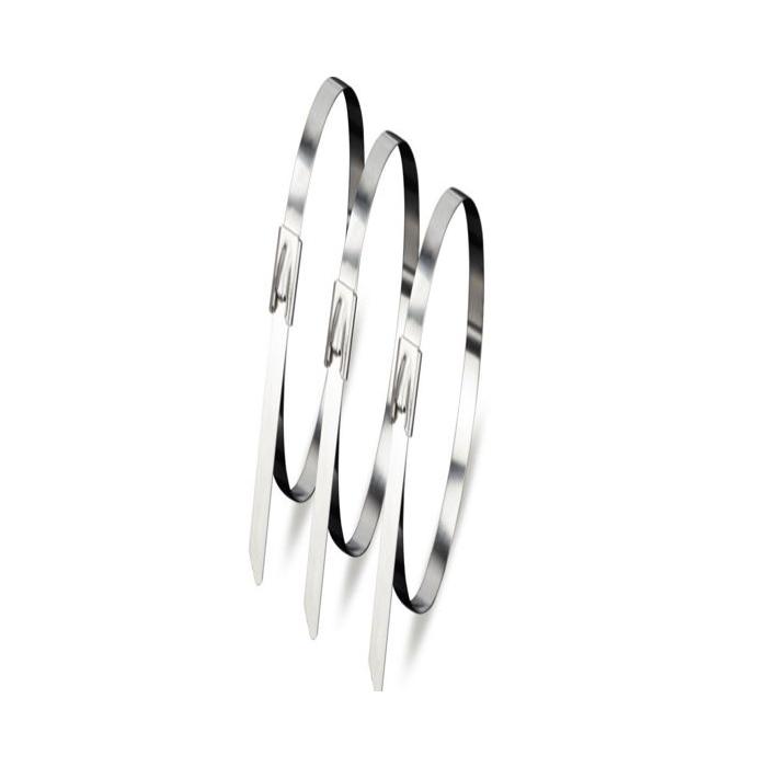 POWERMASTER PM-26359 304 PASLANMAZ ÇELİK KABLO BAĞI 4.6X200MM 100LÜK PAKET