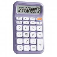 POWERMASTER PM-25411 MOR 12 HANELİ HESAP MAKİNESİ